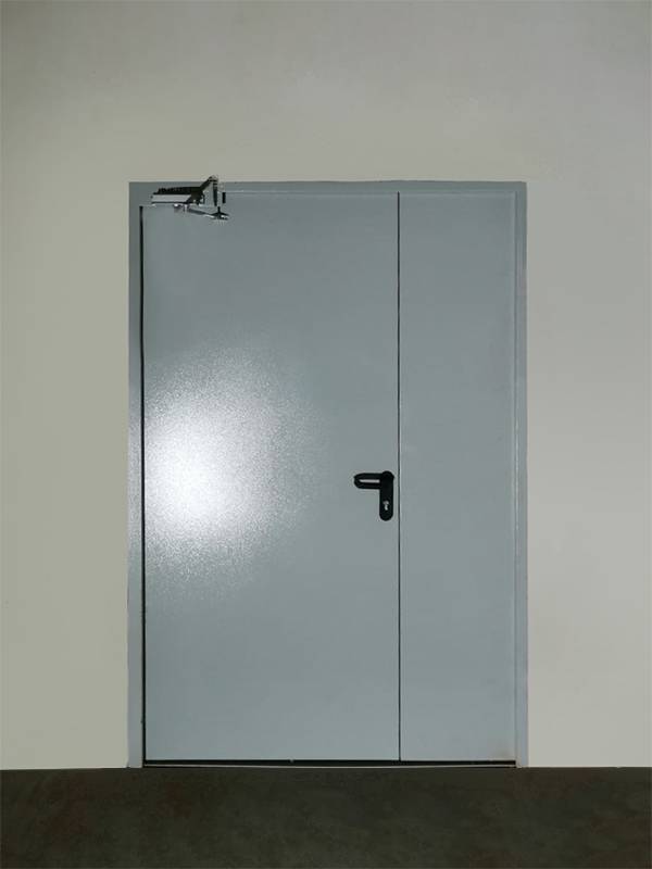 Полуторная дверь, фото изнутри (г. Фрязино) Полуторная дверь, фото изнутри (г. Фрязино)