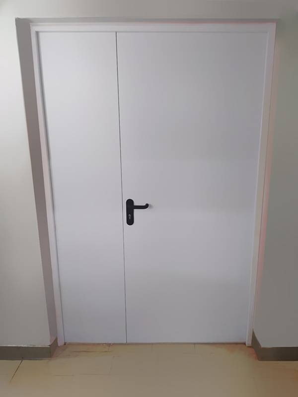 Полуторная дверь, фото изнутри (ул. Звенигородская, 5) Полуторная дверь, фото изнутри (ул. Звенигородская, 5)