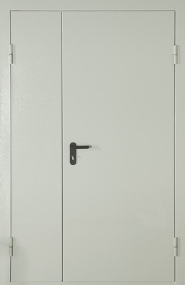 Полуторная глухая противопожарная дверь EI 90 (порошковое напыление)