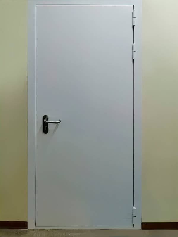 Пожаростойкая дверь («НПЦ АСПЕКТ», г. Дубна) Пожаростойкая дверь («НПЦ АСПЕКТ», г. Дубна)